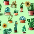 ÃÂ attern cacti and succulents color shade on green background